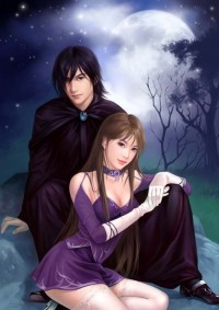 至尊女婿
