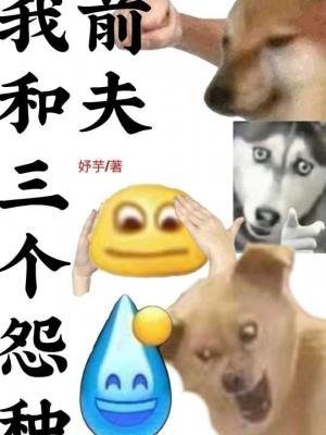我和三個怨種前夫